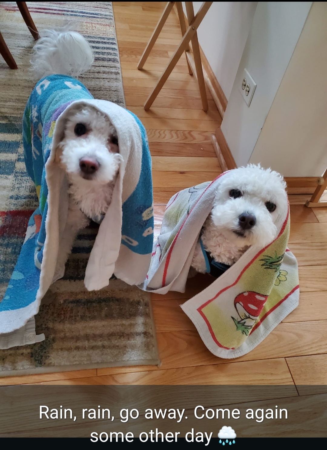 Charlie & Toby