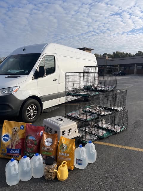 Dogs secured in crates for a Companions of CPAS rescue transport